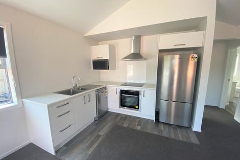 Photo of property in 5u3 Teddy Street, Whitiora, Hamilton, 3200