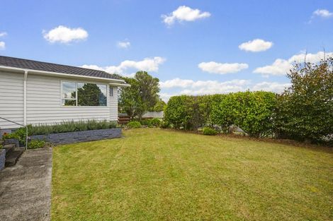 Photo of property in 24 Featherston Street, Levin, 5510