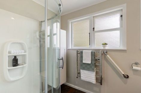 Photo of property in 117 Fairfield Road, Fairfield, Hamilton, 3214