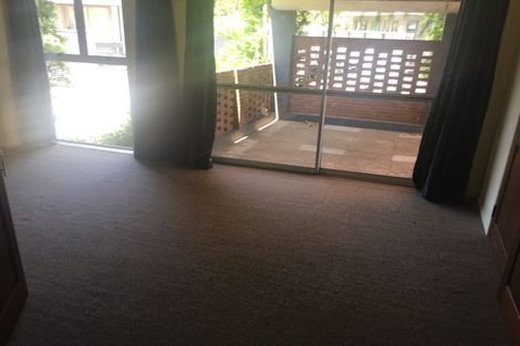 Photo of property in 28b Alison Street, Hamilton Lake, Hamilton, 3204