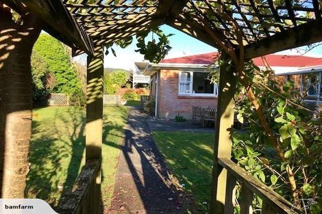 Photo of property in 50 Pagitt Street, Coromandel, 3506