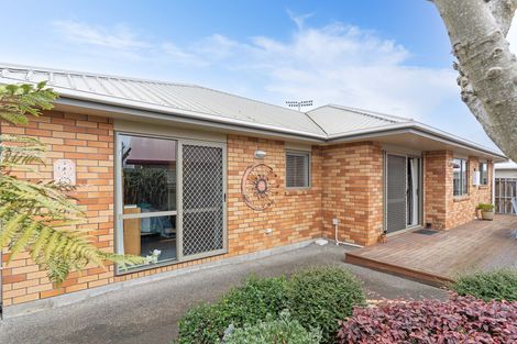 Photo of property in 143b Dixon Street, Masterton, 5810