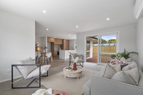 Photo of property in 20a Denbigh Street, Feilding, 4702
