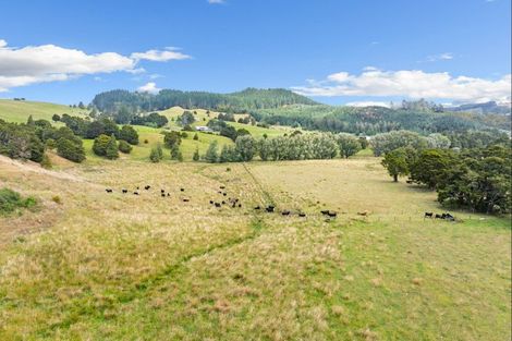 Photo of property in 137 Opouteke Road, Kaihu, Dargaville, 0379