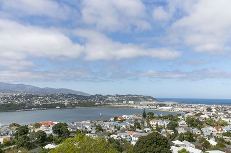 Photo of property in 67a Rakau Road, Hataitai, Wellington, 6021