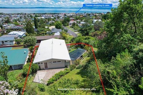 Photo of property in 318 Hill Street, Thames, 3500