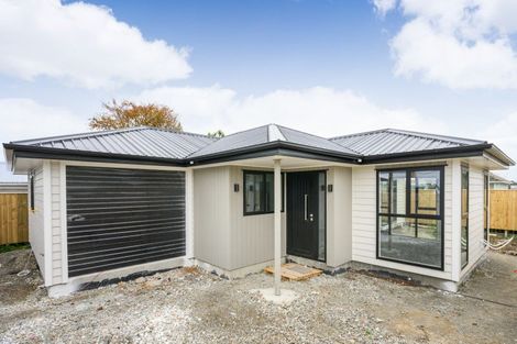 Photo of property in 103a Featherston Street, Takaro, Palmerston North, 4412