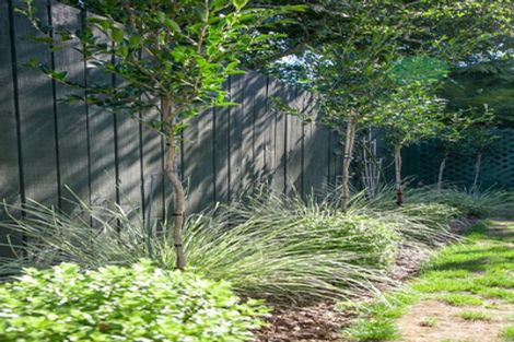 Photo of property in 24 Taylor Street, Cambridge, 3434