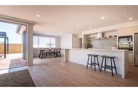 Photo of property in 84 Berryfield Drive, Appleby, Richmond, 7020