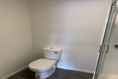 Photo of property in 11u4 Edgecumbe Street, Whitiora, Hamilton, 3200
