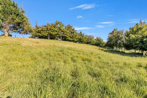 Photo of property in Abbott Street, Waipawa, 4210