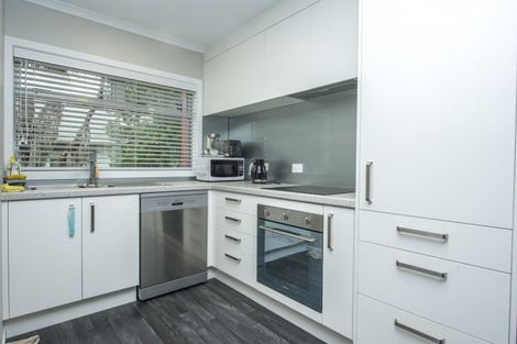 Photo of property in 16u9 Hammond Street, Hamilton Central, Hamilton, 3204