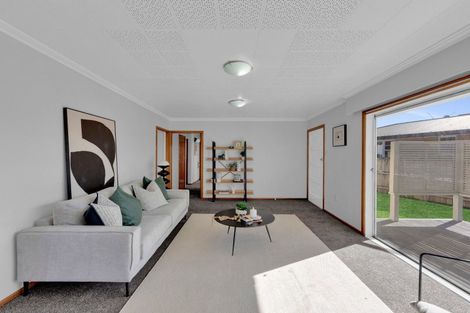 Photo of property in 202 Mahoe Street, Melville, Hamilton, 3206