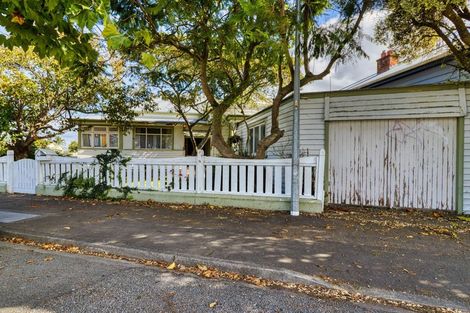 Photo of property in 96 Nelson Crescent, Napier South, Napier, 4110