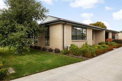 Photo of property in 1/164 Edgeware Road, Edgeware, Christchurch, 8013