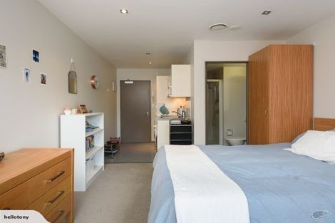 Photo of property in Dual Apartments, 108/142u Vivian Street, Te Aro, Wellington, 6011