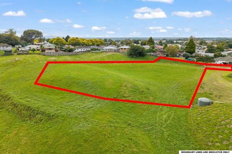 Photo of property in 27 Thornton Street, Putaruru, 3411