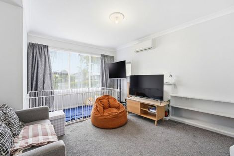 Photo of property in 141 Monrad Street, Highbury, Palmerston North, 4412