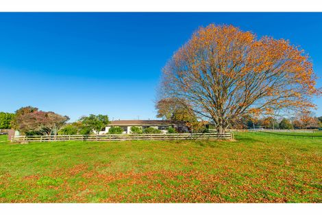 Photo of property in 31 Lee Martin Road, Tamahere, Hamilton, 3283