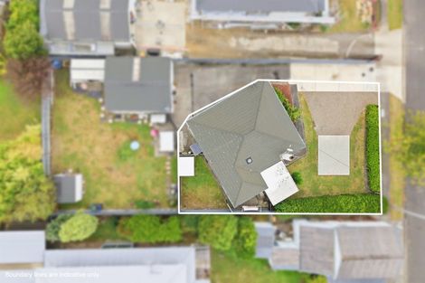 Photo of property in 141 Monrad Street, Highbury, Palmerston North, 4412