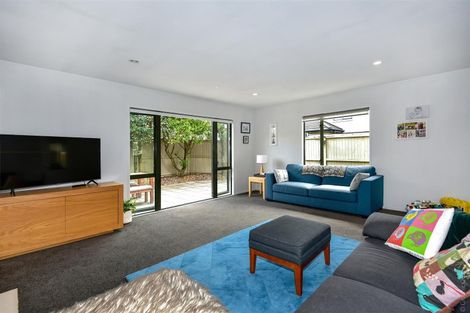 Photo of property in 53 Hawkesbury Avenue, St Albans, Christchurch, 8014