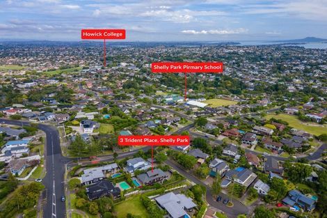 Photo of property in 3 Trident Place, Shelly Park, Auckland, 2014