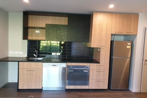Photo of property in Vsp South, 207/168u Victoria Street, Te Aro, Wellington, 6011