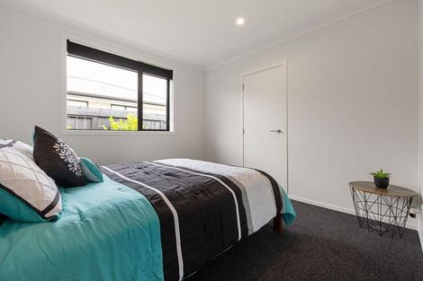 Photo of property in 17 Kereruu Street, Cambridge, 3434