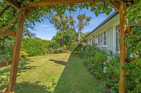 Photo of property in 20 Collingwood Street, Hokowhitu, Palmerston North, 4410