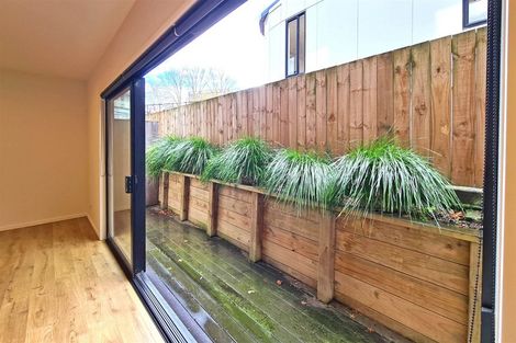Photo of property in 125u3 Tristram Street, Hamilton Central, Hamilton, 3204