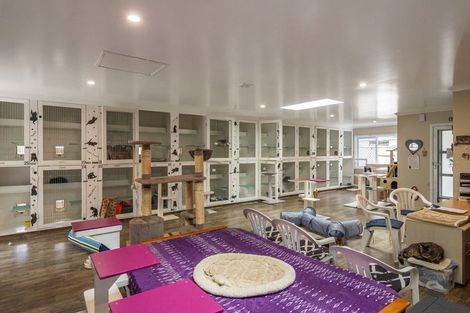 Photo of property in 222 Main Road South, Raumati South, Paraparaumu, 5032