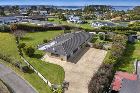 Photo of property in 16 Omana Avenue, Shelly Beach, Helensville, 0874