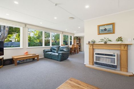 Photo of property in 43 Norfolk Crescent, Feilding, 4702