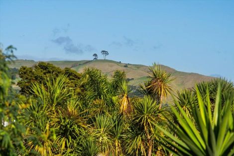 Photo of property in 988 Papamoa Beach Road, Papamoa Beach, Papamoa, 3118