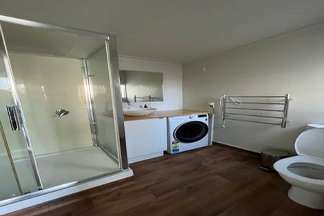 Photo of property in 111 Austin Street, Mount Victoria, Wellington, 6011