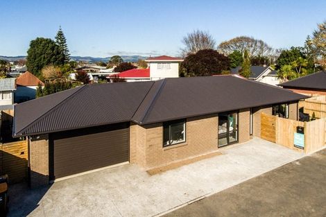 Photo of property in 26b Keith Street, Roslyn, Palmerston North, 4414