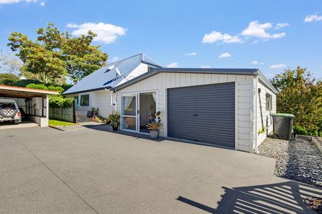 Photo of property in 217a Ohauiti Road, Ohauiti, Tauranga, 3112