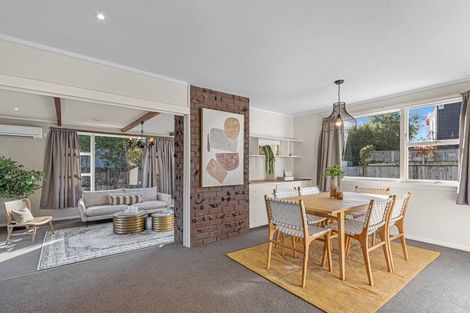 Photo of property in 141 Saint Albans Street, St Albans, Christchurch, 8014
