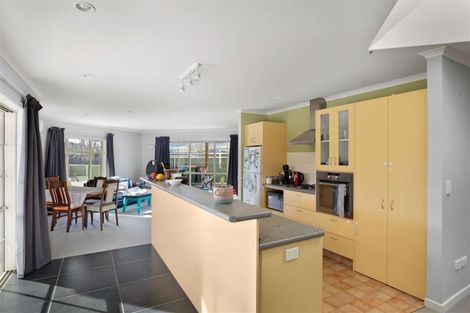 Photo of property in 56 Missy Crescent, Mount Pisa, Cromwell, 9383