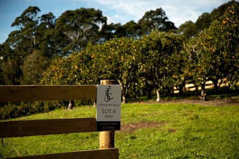 Photo of property in 47 Darwin Road, Outer Kaiti, Gisborne, 4010