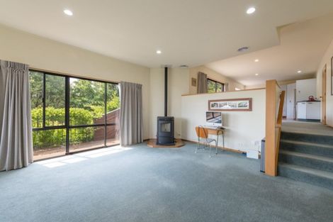 Photo of property in 13 Idesia Grove, Richmond, 7020