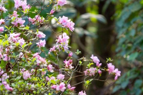 Photo of property in 598c Wright Road, Aongatete, Katikati, 3181