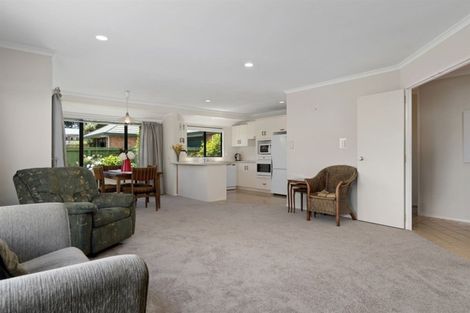 Photo of property in 169c Maungatapu Road, Maungatapu, Tauranga, 3112