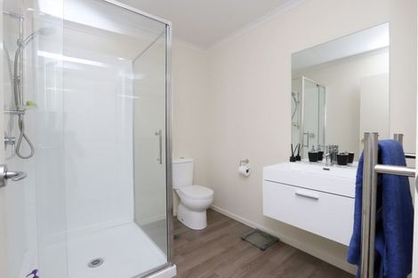 Photo of property in 215u3 Massey Street, Frankton, Hamilton, 3204