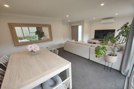 Photo of property in 22u3 Thomson Avenue, Dinsdale, Hamilton, 3204
