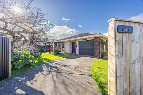 Photo of property in 14a Ruataniwha Street, Waipawa, 4210