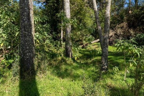 Photo of property in 42 Tirohanga Road, Kawakawa, 0282