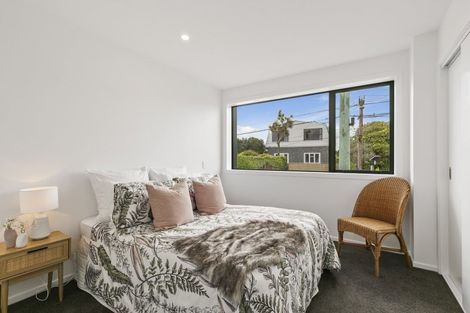 Photo of property in 96u2 Washington Avenue, Brooklyn, Wellington, 6021