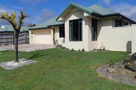 Photo of property in 17 Paramu Place, Richmond, 7020