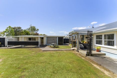Photo of property in 19 Freyberg Street, Levin, 5510